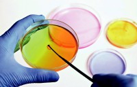 /album/lfgb-usp/la-evolucion-del-diagnostico-microbiologico-en-la-industria-4-jpg/